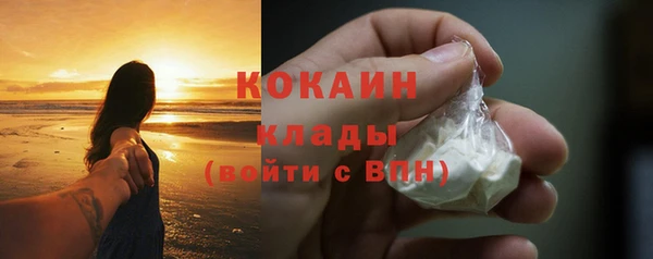 дживик Надым